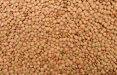 lentil seeds texture