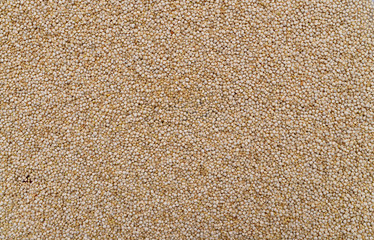white chia seeds texture