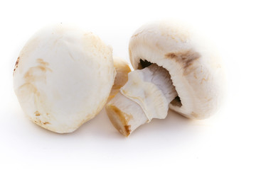 Champignons