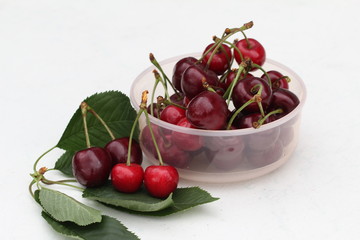 Cherry