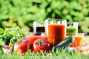 Glasses with fresh organic detox juices in the garden