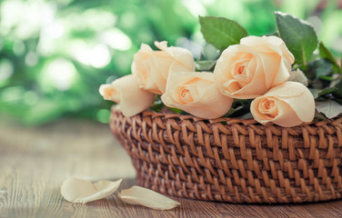 Romantic rose vintage style