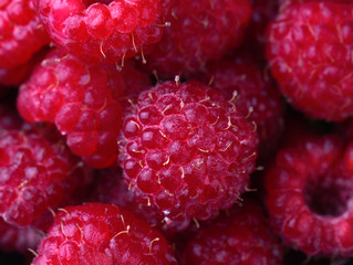 Raspberry fruit background