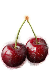 Hand drawn watercolor painting cherry on white background. Sweet cherry.