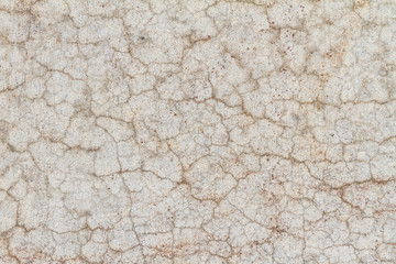 cracked grunge texture