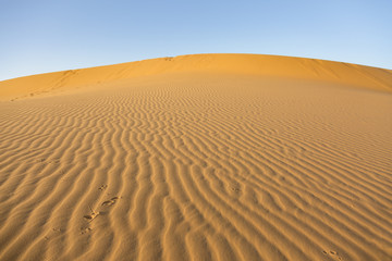Fototapeta na wymiar Dune in the desert