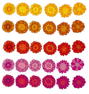 Decorative Stylized Marigold Flower Vector Illustration. Decorat