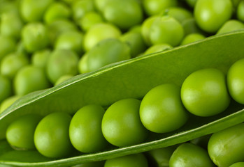 Young grean peas background