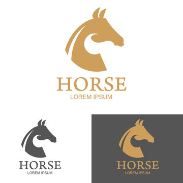 horse logo. Design element