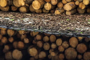 holzbalken im regen