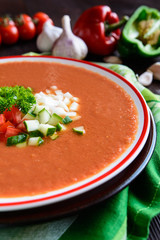Vegetable soup gazpacho