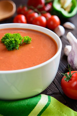 Vegetable soup gazpacho