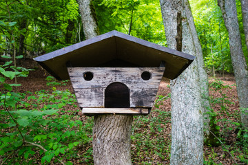 Vogelhaus im Wald