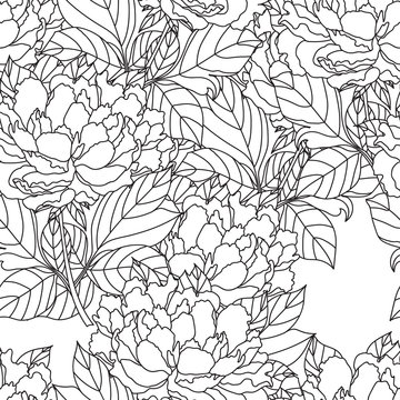 Seamless Peony bouquet. Vector. Coloring book page for adults. Hand drawn artwork. Love bohemia concept  wedding invitation, card, ticket, branding, logo, label. Gift  girl, women. Black and white.