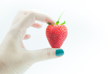 Fresh strawberries in hand,An appetizing strawberry in the woman's teasing hand at the white background