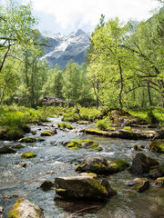 Landscape pure stream with rocks in the moss on the background of the high mountains