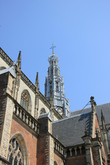 Fototapeta na wymiar St Bavo Church - Haarlem