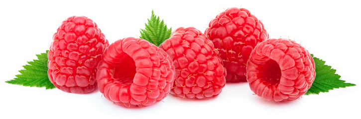 Five ripe raspberries in a line with green leves isolated on white background with clipping path