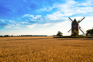 Windmühle im Weizenfeld