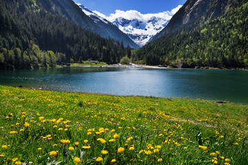 Mountain scenery clear lake with meadow flowers in foreground