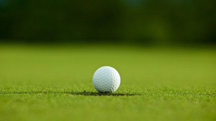 selective focus. white golf ball near hole on green grass good f