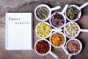 Herbs & notebook on wooden background
