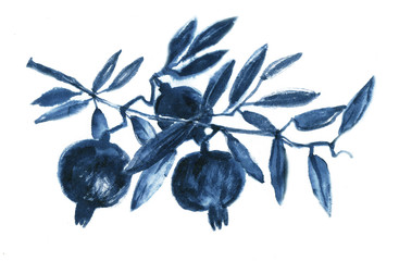 Pomegranate, Sketch