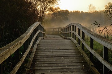 Wooden Foot Bridge in the Early Morning