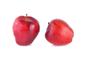 Red apple on white background