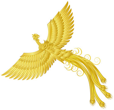 鳳凰 フェニックス 想像上の鳥 Stock Vector | Adobe Stock