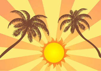 Fototapeta na wymiar Vector Illustration. Palm trees and sun.