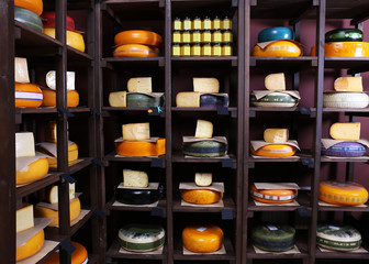 Different kinds of cheese on shelves in cellar