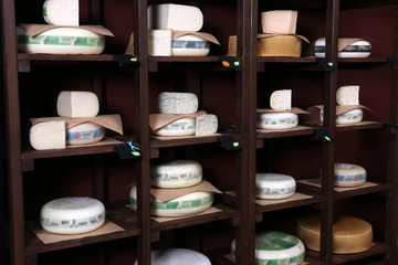 Different kinds of cheese on shelves in cellar