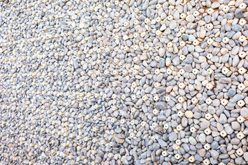 Smooth and gray rock in the background 