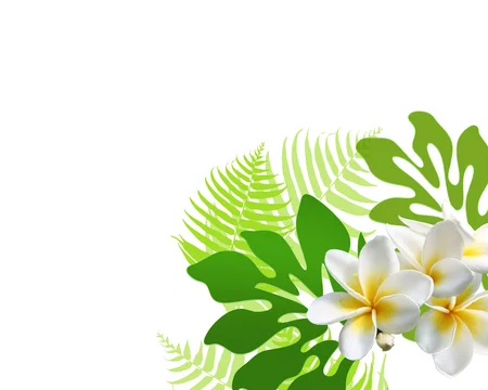 プルメリアとモンステラとシダ Stock イラスト Adobe Stock