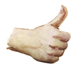 watercolor sketch of thumb up on white background