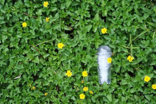 plastic glass on grass