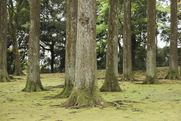 Obi, Miyazaki, Japan