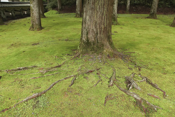 Obi, Miyazaki, Japan