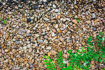 Stone