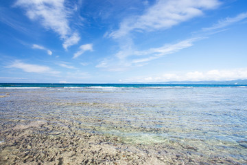 沖縄の海
