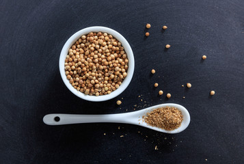 Coriander seeds and powder in porcelain bowl and spoon