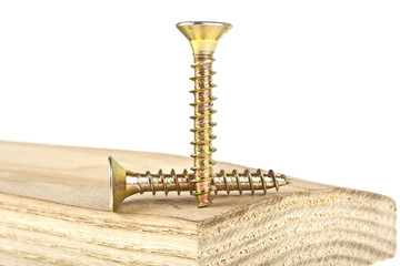 Golden screws screwed into wooden plank
