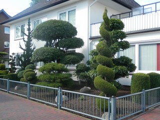 Topiary in Village Street