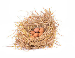 a pile of brown eggs in a nest isolated on a white background