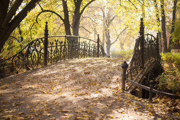 bridge in autumn park. golden fall city park in a sunny day. Wroclaw, Poland