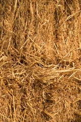 Hay