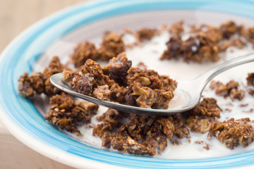 macro take of spoon on cereal with milk and chocolate on natural