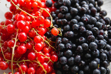 a combination of black and red berries (blackberries and red cur