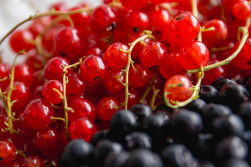 a combination of black and red berries (blackberries and red cur